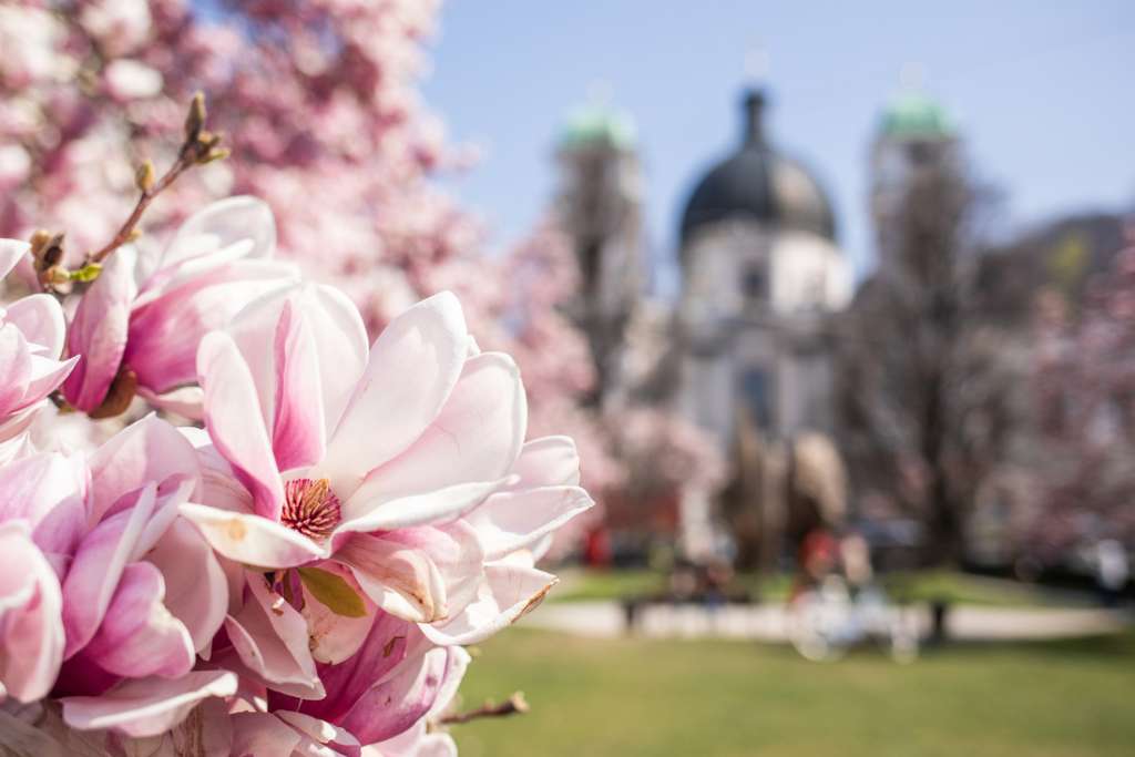 Frühlingsurlaub im Salzburger Land