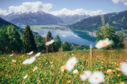 Zeller_See_SLT.jpg